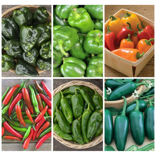 Pepper Essentials 6-Pack
