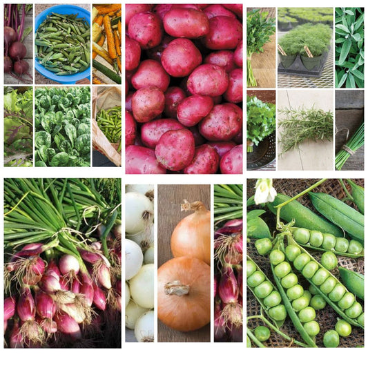 Cool Weather Kitchen Garden Kit