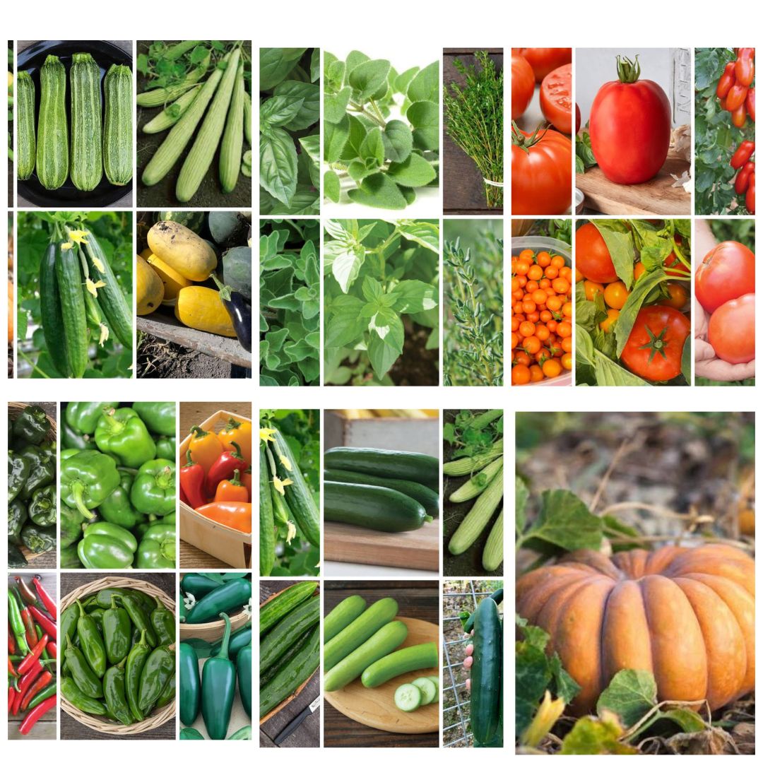 Warm Weather Kitchen Garden Kit