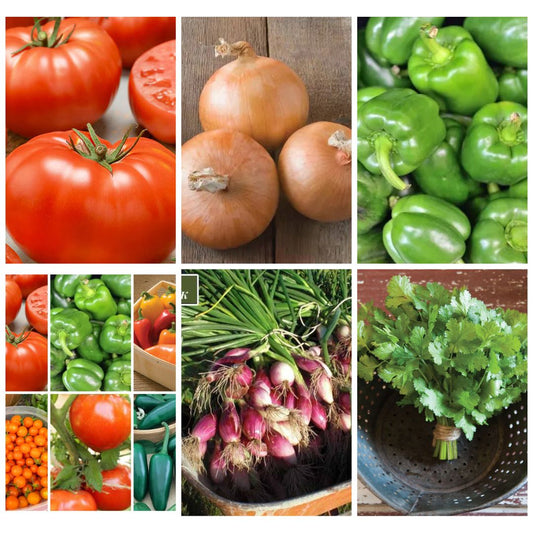 Salsas & Sauces Growers Kit