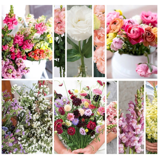 Custom Cut Flower Growers Kit - Cool Weather