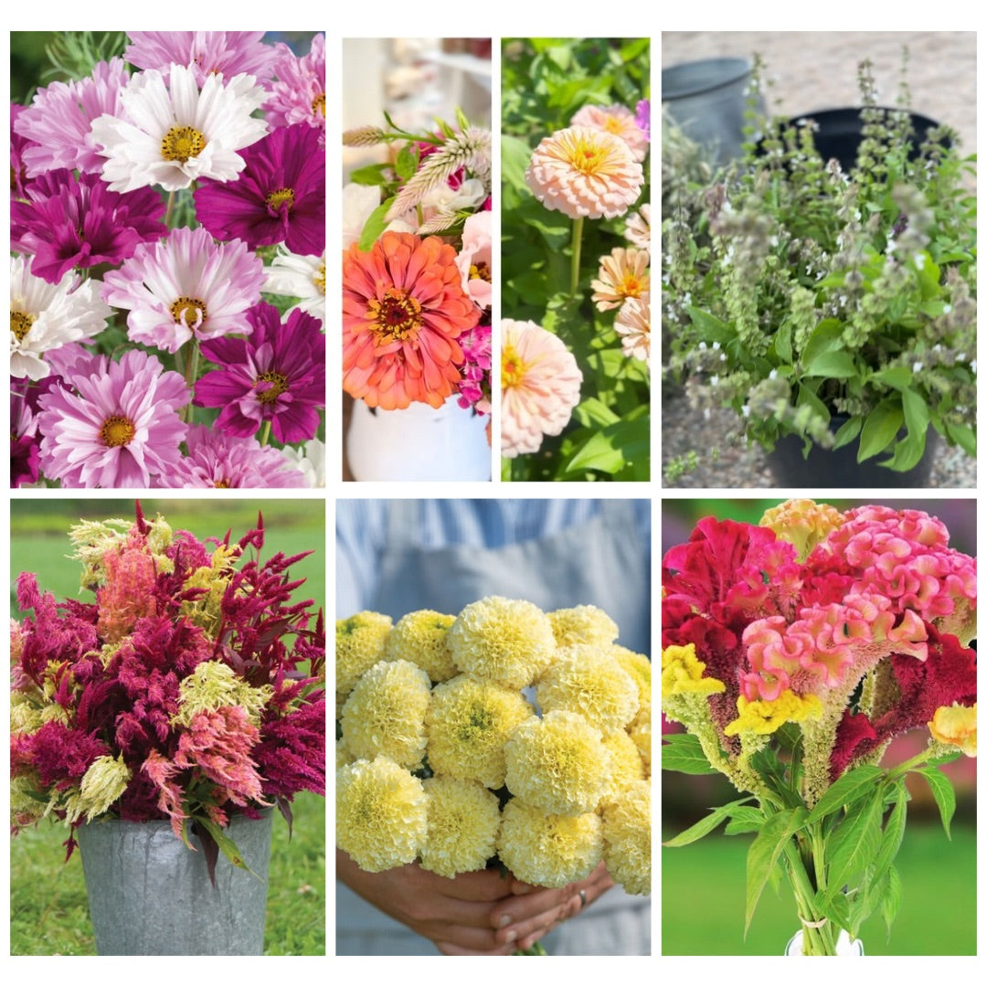 Custom Cut Flower Growers Kit - Warm Weather