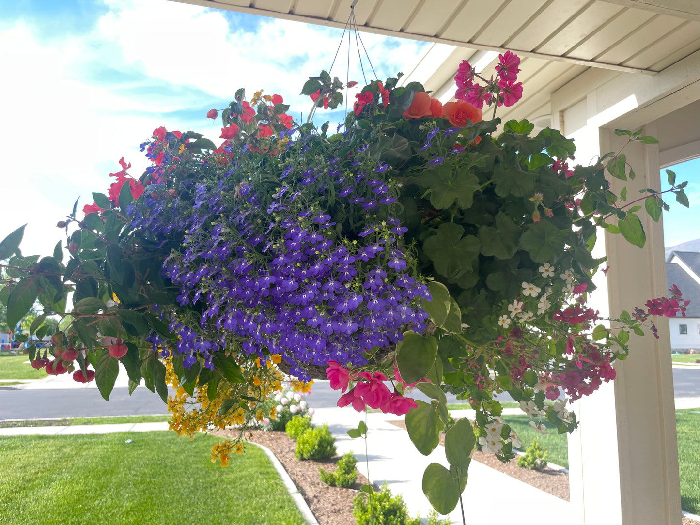 Custom Pots & Planters