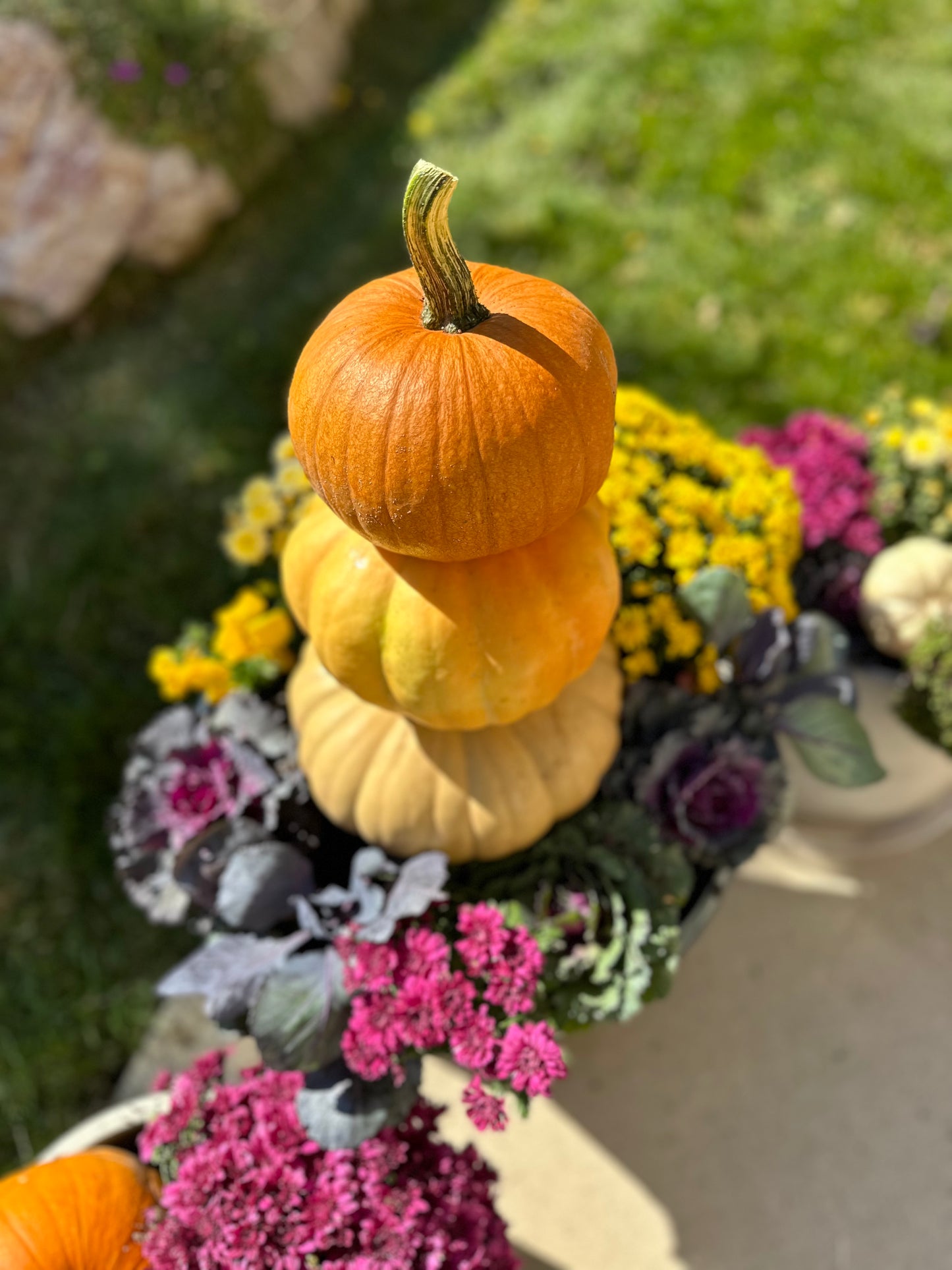 Custom Pots & Planters