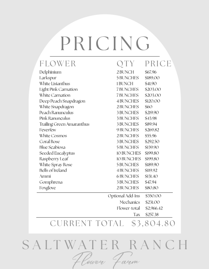 Belle Cheney Wedding Payment 2