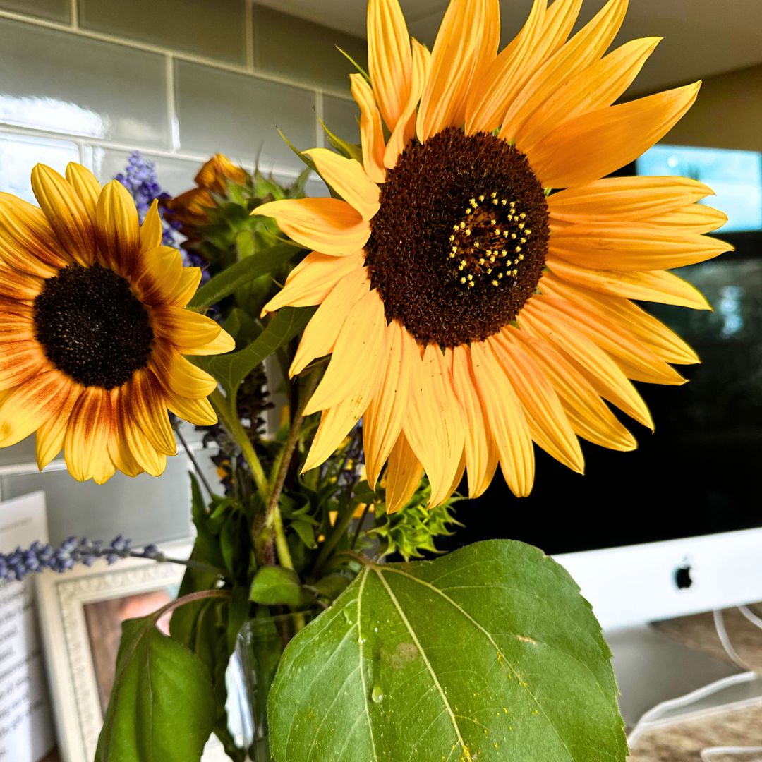 Floral Gifts