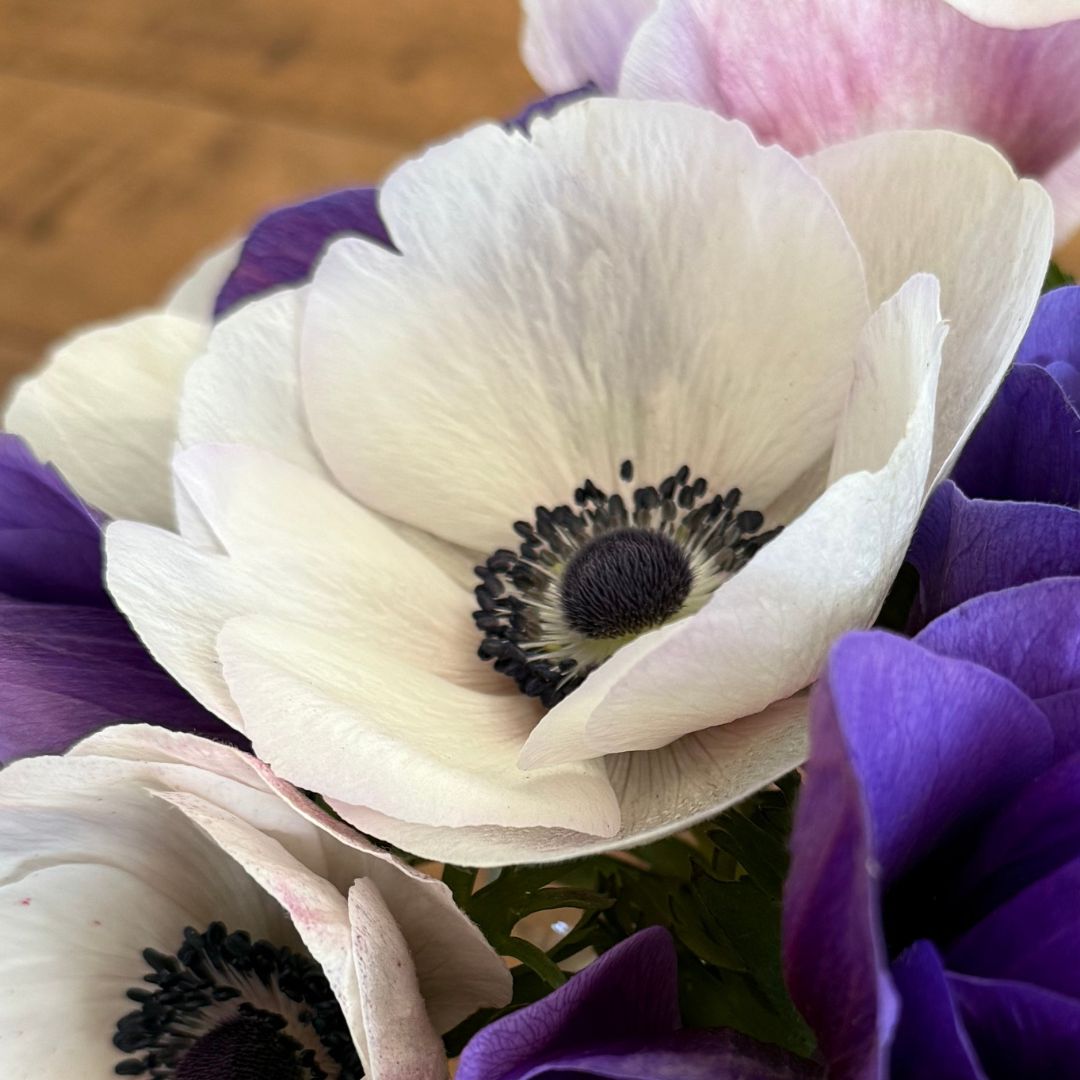 Wholesale Flowers
